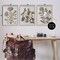Stupell Industries Vintage Country Botanicals 3pc Framed Giclee Wall Art Set Design by Lil' Rue